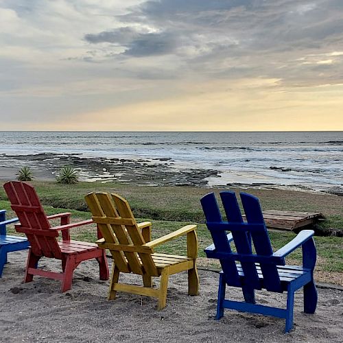 Colorful chairs facing a calm ocean, with a cloudy sky and tree to the left; a peaceful beach scene at sunset.