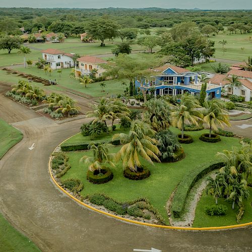 An aerial view of a landscaped roundabout with palm trees surrounded by greenery and buildings in the background.