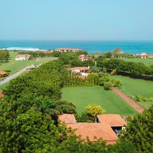 Aerial view of a coastal community with houses surrounded by lush greenery and trees, near the ocean under a clear blue sky.