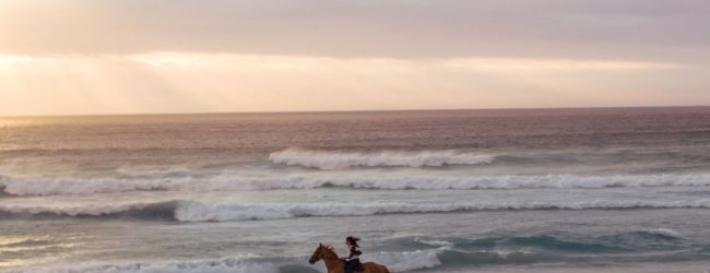 A person riding a horse on a sandy beach during sunset, with waves gently crashing onto the shore under a cloudy sky.