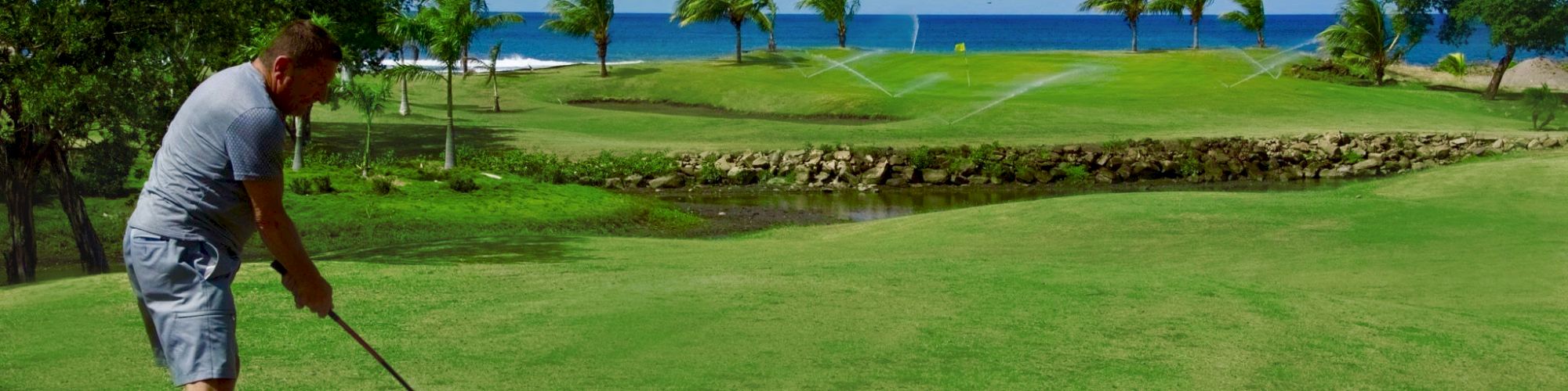 A person preparing to swing a golf club on a golf course with palm trees, clear blue sky, and the ocean in the background.