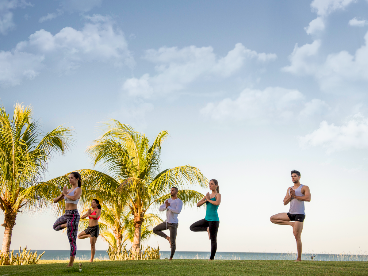 A group of people is practicing yoga outdoors near palm trees with a view of the ocean under a blue sky with scattered clouds, ending the sentence.