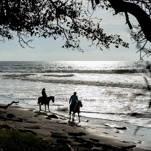 Two people on horseback ride along a sandy beach by the ocean, framed by overhanging tree branches against a backdrop of waves and a cloudy sky.