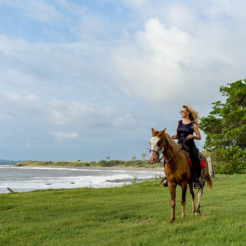 A person is horseback riding along a grassy coastal area with waves crashing in the background and a tree nearby. The sky is partly cloudy.