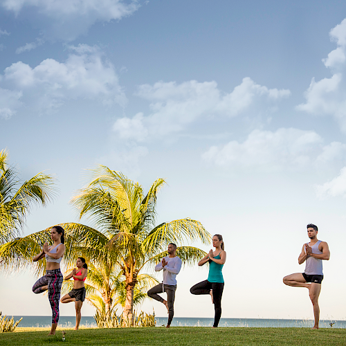 A group of five people is practicing yoga in a tree pose on a grassy area near the beach, with palm trees and a bright sky in the background.