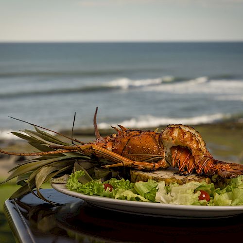 A grilled lobster served on a bed of lettuce sits on a plate, with an ocean view in the background.