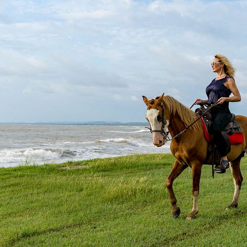 A person rides a horse along a grassy coastline with waves in the background under a cloudy sky.