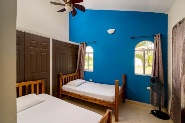 A bedroom with two single beds, blue accent wall, ceiling fan, brown closet doors, two windows with curtains, and a standing fan in the corner.