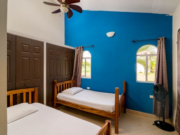 A bedroom with two single beds, blue accent wall, ceiling fan, brown closet doors, two windows with curtains, and a standing fan in the corner.