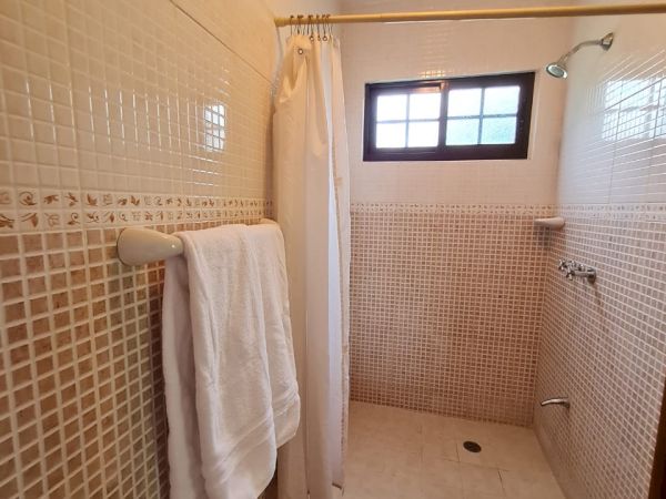 This image shows a tiled bathroom with a walk-in shower, a window, a shower curtain, and a towel hanging on a rack.