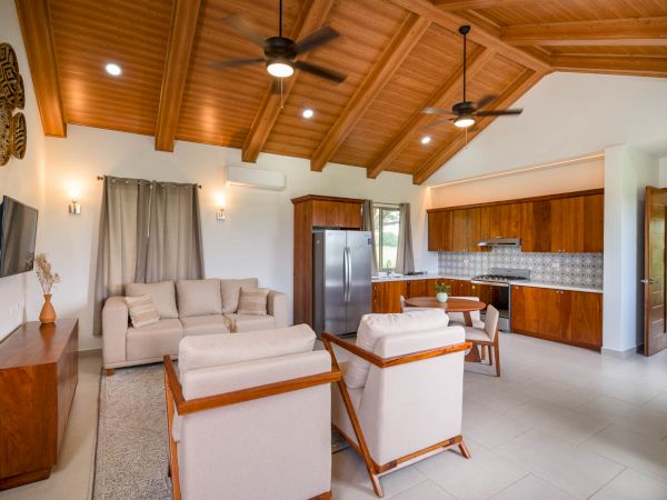 A modern living room with vaulted wooden ceilings, comfortable furniture, and an open kitchen featuring stainless steel appliances and wooden cabinets.