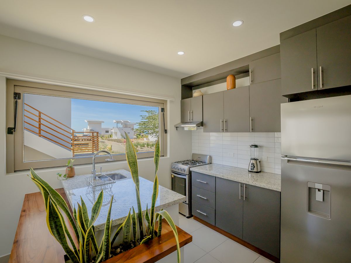 A modern kitchen with gray cabinets, stainless steel appliances, a plant on the island, and a large window offering an outdoor view.