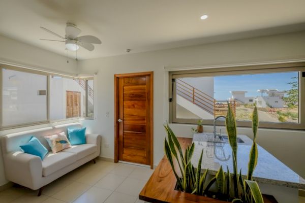 A modern, bright room with a white sofa, decorative pillows, wooden door, large windows, ceiling fan, and a kitchen counter with plants.