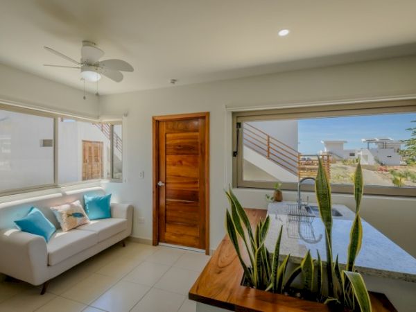 A modern, bright room with a white sofa, decorative pillows, wooden door, large windows, ceiling fan, and a kitchen counter with plants.