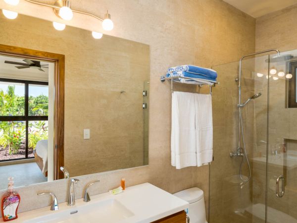 A modern bathroom with a sink, mirror, toilet, and glass-enclosed shower, featuring wooden cabinetry and a lighted vanity.
