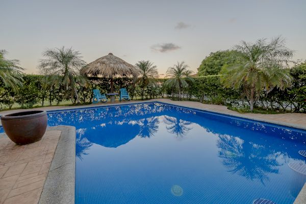 The image depicts a serene swimming pool surrounded by palm trees and greenery, with two blue chairs under a thatched umbrella.