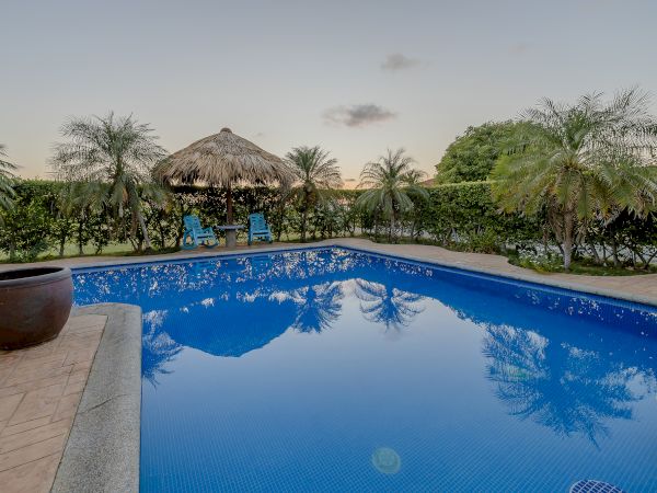 The image depicts a serene swimming pool surrounded by palm trees and greenery, with two blue chairs under a thatched umbrella.