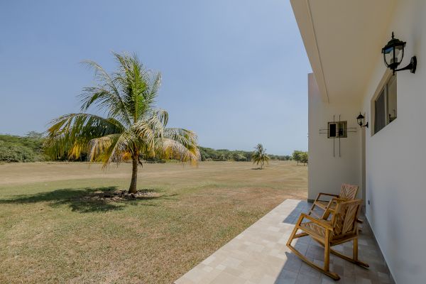 A patio with two wooden chairs faces an open field with palm trees under a clear blue sky, next to a white building wall with decorative lights.