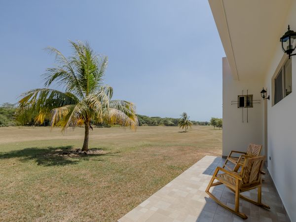 A patio with two wooden chairs faces an open field with palm trees under a clear blue sky, next to a white building wall with decorative lights.