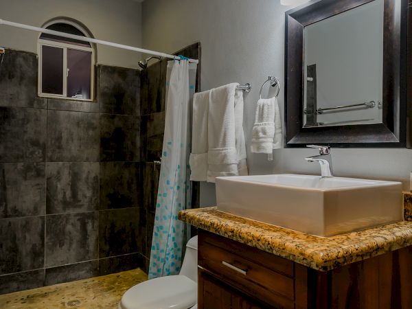The image shows a bathroom with a wooden vanity, a vessel sink, a mirror, a toilet, and a tiled shower area with a curtain.