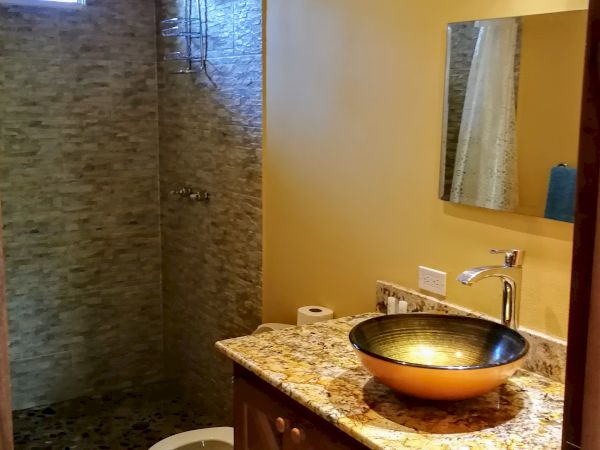 A bathroom with a walk-in shower, toilet, granite countertop with a modern vessel sink, mirror, and lighting fixture above it.