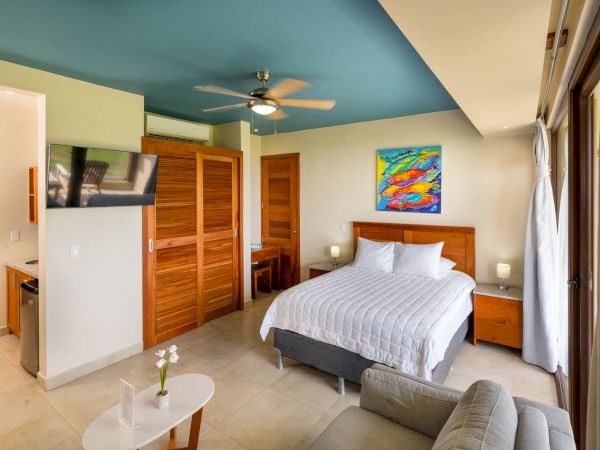 A modern bedroom with a bed, colorful wall art, TV, ceiling fan, wooden closet, sofa, small table with flower, and natural light from large windows.