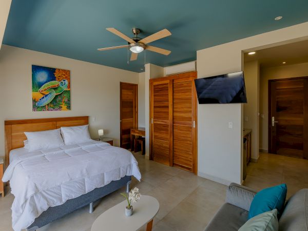 A modern bedroom with a bed, ceiling fan, TV, colorful artwork, wooden doors, small table, sofa, and a potted orchid on a coffee table.