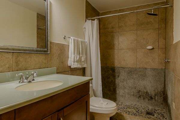 A bathroom featuring a vanity with a mirror, sink, towels, toilet, and a walk-in shower with a curtain. The floor is tiled, and lighting is overhead.