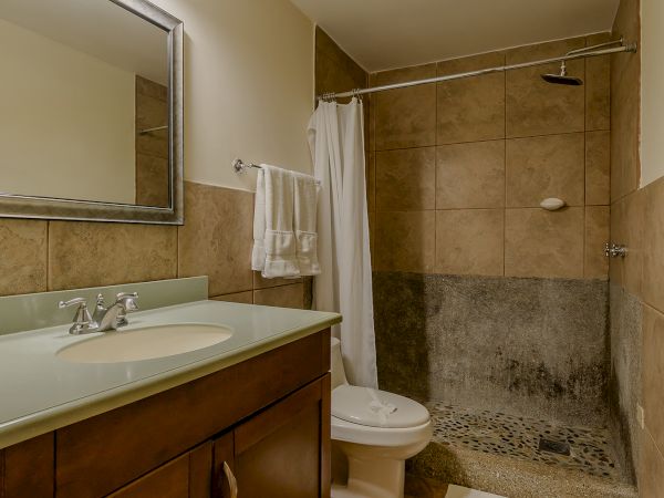 A bathroom featuring a vanity with a mirror, sink, towels, toilet, and a walk-in shower with a curtain. The floor is tiled, and lighting is overhead.