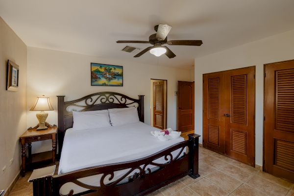 This image shows a bedroom with a large bed, a ceiling fan, a side table with a lamp, artwork on the wall, and two wooden closets.