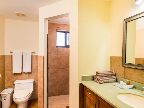 This image shows a bathroom with a toilet, shower, vanity with sink, mirror, towels on racks, a countertop with toiletries, and tiled floors and walls.