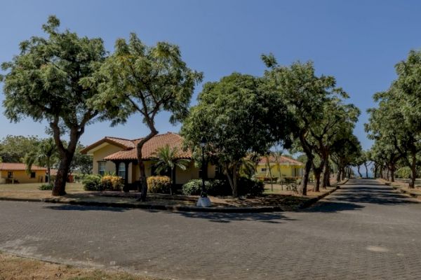 The image shows a paved road with houses on either side, surrounded by greenery and large trees under a clear blue sky.