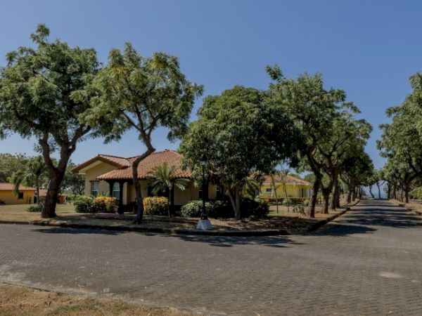 The image shows a paved road with houses on either side, surrounded by greenery and large trees under a clear blue sky.