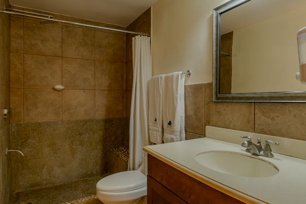 This image shows a bathroom with a shower, toilet, and sink in a wooden vanity. There is a large mirror and overhead lighting above the sink.